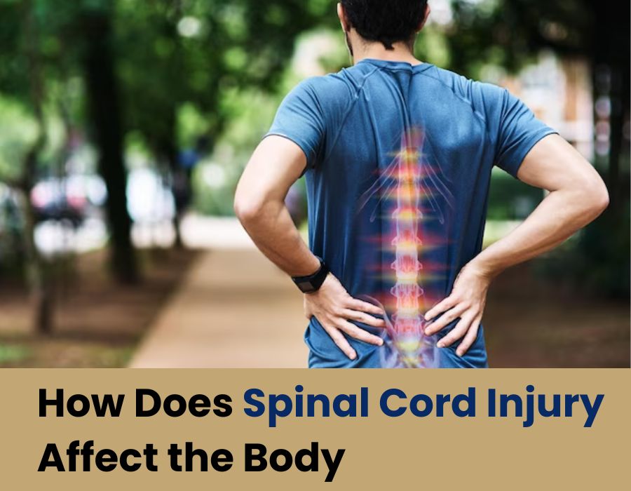 spinal cord injury affect the body-Orthos Centre-Dr. shrikant dalal Orthopedic surgeon in baner