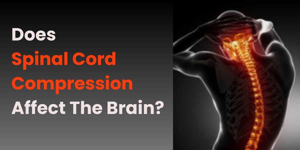 Does spinal cord compression affect the brain?