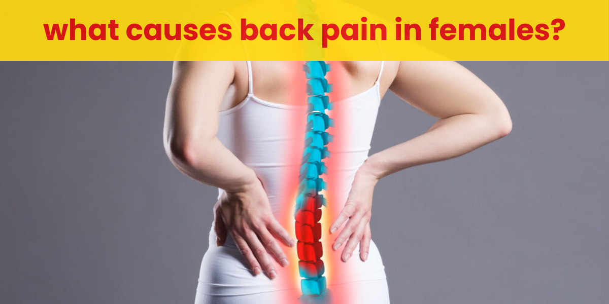 Spine Centre in Pune | Spine Specialist in Pune | Spine Treatment in Pune