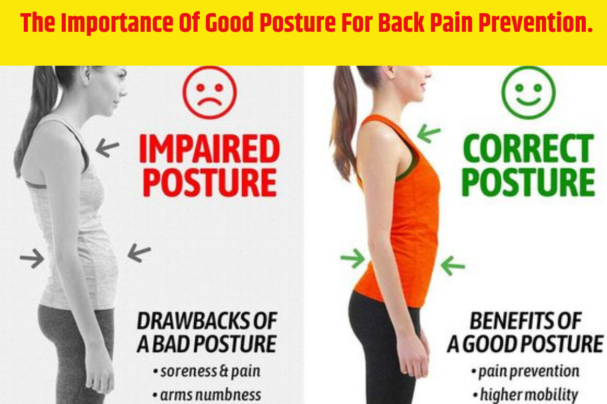The Importance of Good Posture for Back Pain Prevention | posture correction clinic in Pune