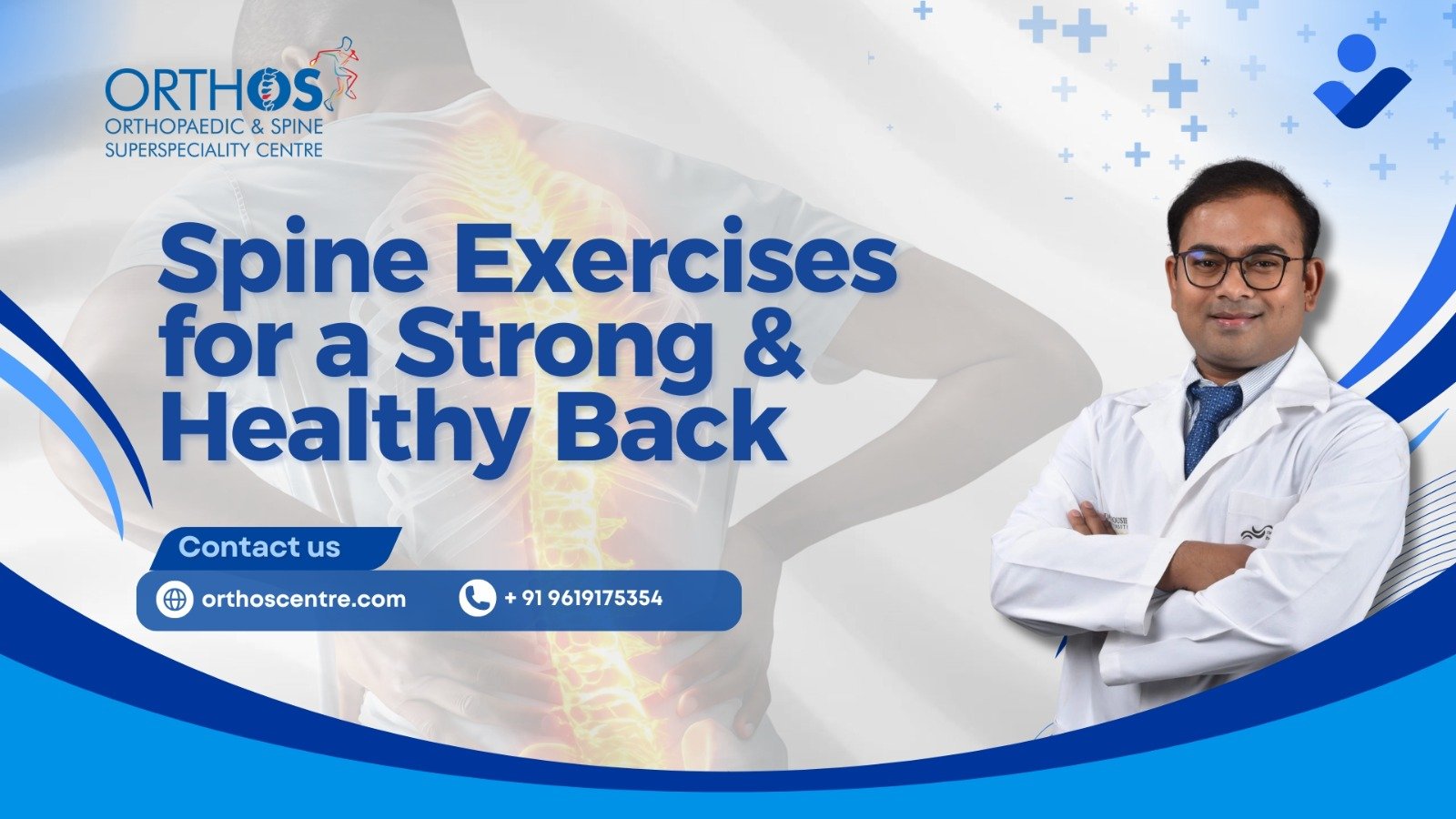 Spine Exercises